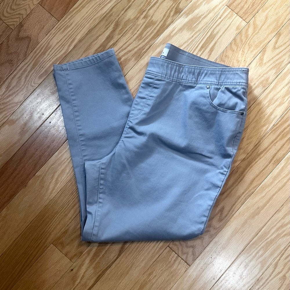 Kim Rogers 20WS Women's Gray Ankle Pants